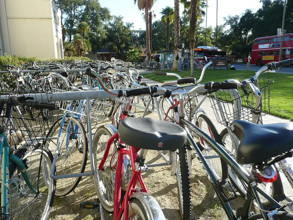 Rows of bicycles at UC Davis