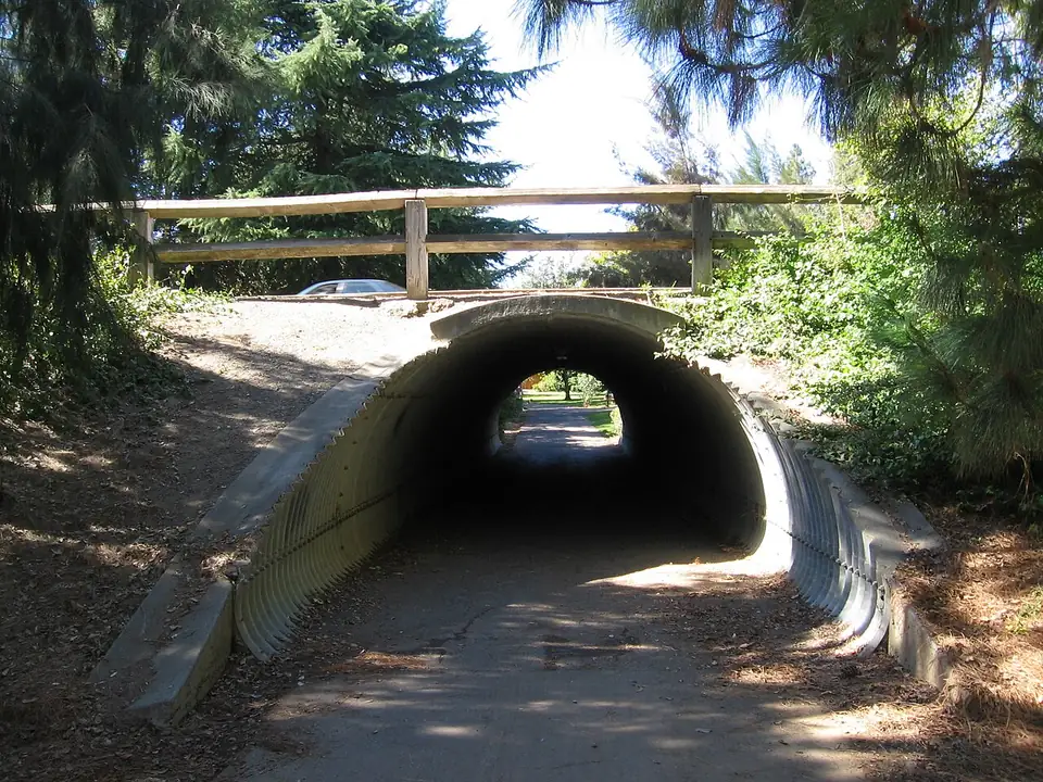 A Davis greenbelt bike tunnel shaded by trees