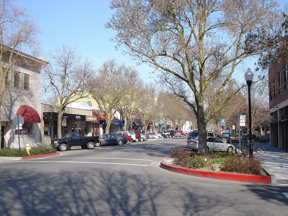 Tree-lined G Street in downtown Davis