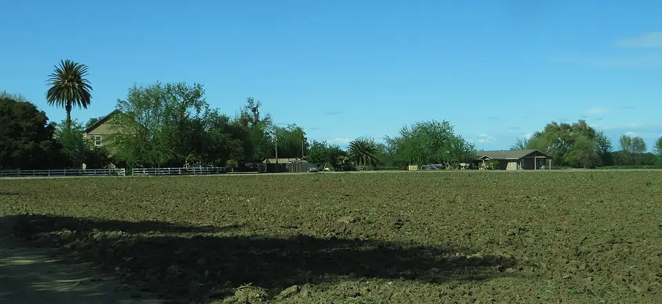 Open agricultural land in rural Yolo County near Davis